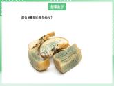 青岛版六三制（2017）科学六年级上册2.3 《发霉与防霉》课件
