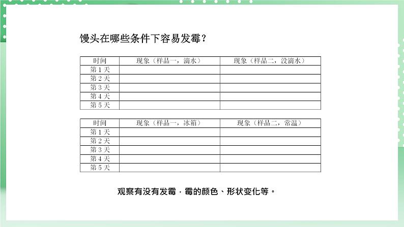 青岛版六三制（2017）科学六年级上册2.3 《发霉与防霉》课件06