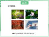 青岛版六三制（2017）科学六年级上册4.2 《四季更替》课件