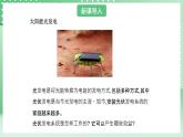 青岛版六三制（2017）科学六年级上册7.3 《光伏发电系统》课件