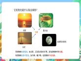青岛版六三制（2017）科学五年级上册1.1《认识光》课件