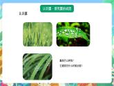 青岛版六三制（2017）科学五年级上册2.2《露和霜》课件