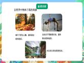 青岛版六三制（2017）科学五年级上册4.1《地球引力》课件