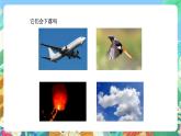 青岛版六三制（2017）科学五年级上册4.1《地球引力》课件