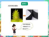 青岛版六三制（2017）科学五年级上册6.1《生物的启示》课件