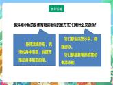 粤教粤科版（2017）科学三年级上册1.1《鲫鱼与青蛙》课件+教案+练习