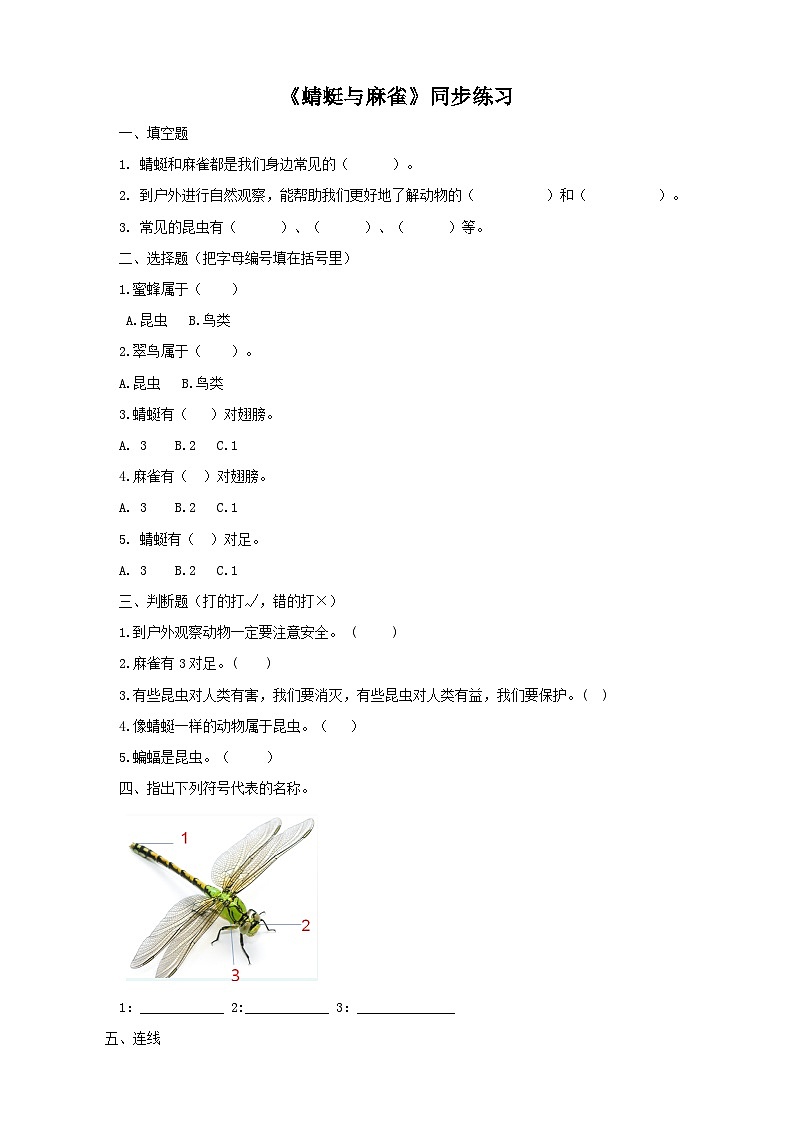 粤教粤科版（2017）科学三年级上册1.2《蜻蜓与麻雀》课件+教案+练习01