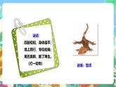 粤教粤科版（2017）科学三年级上册1.3《壁虎与小猫》课件+教案+练习