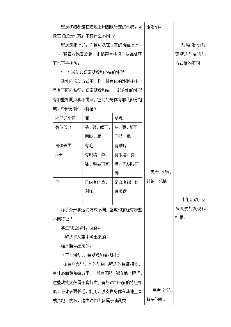 粤教粤科版（2017）科学三年级上册1.3《壁虎与小猫》课件+教案+练习02