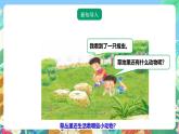 粤教粤科版（2017）科学三年级上册1.4《草地里的小动物》课件+教案+练习