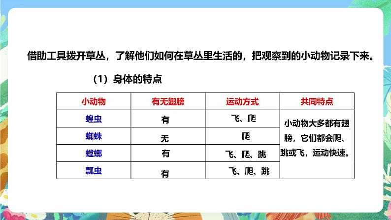 粤教粤科版（2017）科学三年级上册1.4《草地里的小动物》课件+教案+练习05