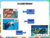 粤教粤科版（2017）科学三年级上册1.5《海洋里的动物》课件+教案+练习