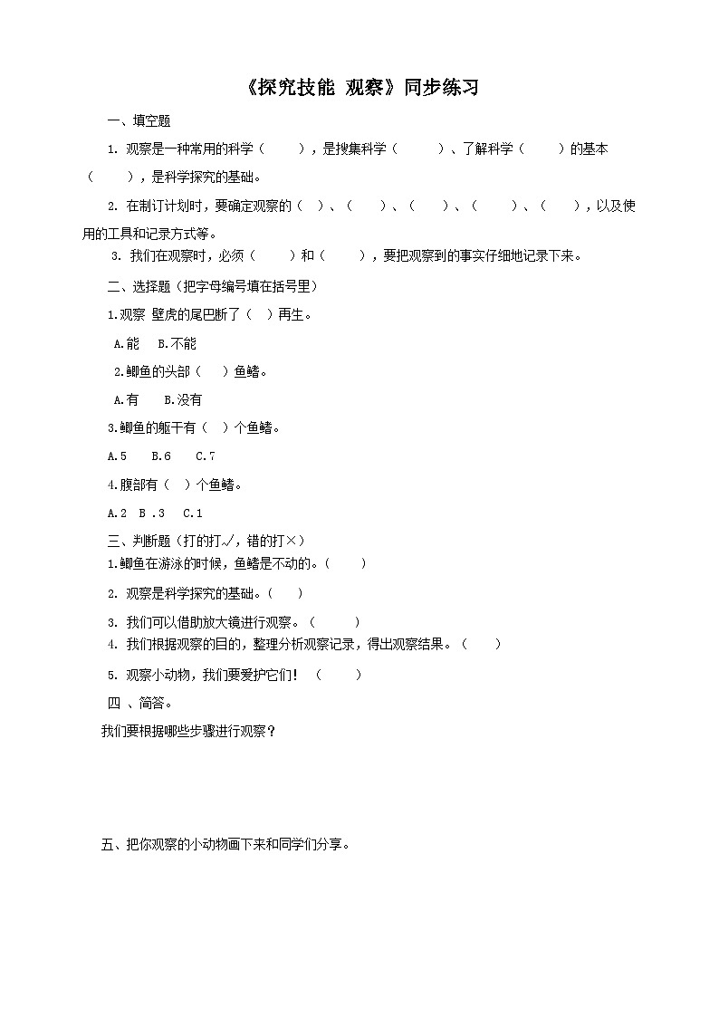 粤教粤科版（2017）科学三年级上册《探究技能 观察》课件+教案+练习01