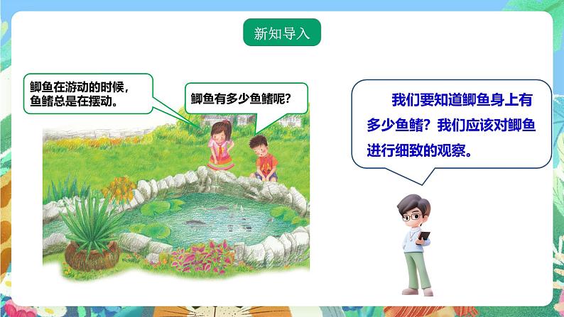 粤教粤科版（2017）科学三年级上册《探究技能 观察》课件+教案+练习02