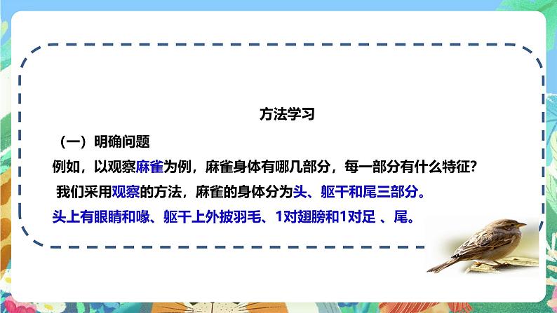 粤教粤科版（2017）科学三年级上册《探究技能 观察》课件+教案+练习04