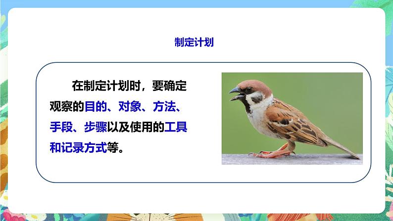 粤教粤科版（2017）科学三年级上册《探究技能 观察》课件+教案+练习05