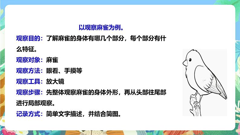 粤教粤科版（2017）科学三年级上册《探究技能 观察》课件+教案+练习06