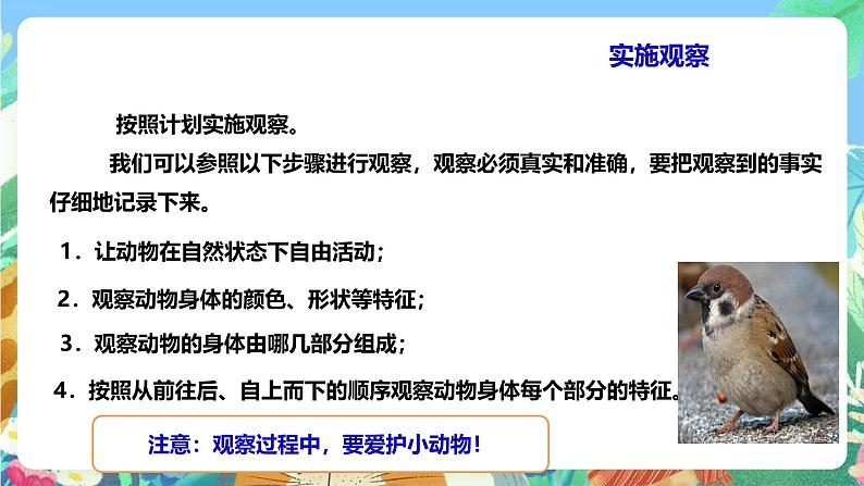 粤教粤科版（2017）科学三年级上册《探究技能 观察》课件+教案+练习07