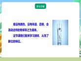 粤教粤科版（2017）科学三年级上册3.13《认识液体》课件+教案+练习