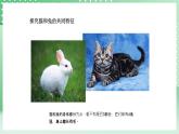 青岛版六三制（2017）科学版四年级上册1.4《哺乳动物》课件