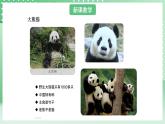 青岛版六三制（2017）科学版四年级上册1.5《我国的珍稀动物》课件