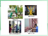 青岛版六三制（2017）科学版四年级上册3.4《台风来了》课件
