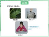 青岛版六三制（2017）科学版四年级上册4.3《水蒸气凝结》课件