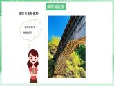 青岛版六三制（2017）科学版四年级上册6.3《技术产品与生活》课件