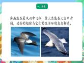 青岛版六三制（2017）科学三年级上册1.3《动物的翅膀》课件