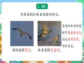 青岛版六三制（2017）科学三年级上册1.3《动物的翅膀》课件
