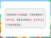 青岛版六三制（2017）科学三年级上册1.3《动物的翅膀》课件