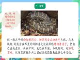 青岛版六三制（2017）科学三年级上册1.4《冬眠与迁徙》课件