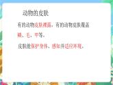 青岛版六三制（2017）科学三年级上册第1单元《单元评价》课件