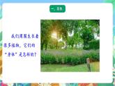 青岛版六三制（2017）科学三年级上册2.5《植物的“身体》课件