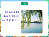 青岛版六三制（2017）科学三年级上册2.7《植物的茎》课件