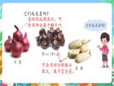 青岛版六三制（2017）科学三年级上册2.7《植物的茎》课件