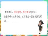 青岛版六三制（2017）科学三年级上册第2单元《单元评价》课件