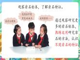 青岛版六三制（2017）科学三年级上册3.12《认识岩石》课件