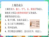青岛版六三制（2017）科学三年级上册第3单元《单元评价》课件