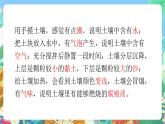 青岛版六三制（2017）科学三年级上册第3单元《单元评价》课件