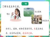 青岛版六三制（2017）科学三年级上册5.21《淡水资源》课件