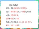 青岛版六三制（2017）科学三年级上册第5单元《单元评价》课件