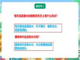 粤教粤科版（2017）科学五年级上册1.2《根对水分的吸收》课件+教案+练习