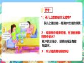 粤教粤科版（2017）科学五年级上册1.2《根对水分的吸收》课件+教案+练习