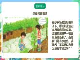 粵教粵科版（2017）科學(xué)五年級(jí)上冊(cè)1.4《水分在莖里的運(yùn)輸》課件+教案