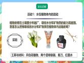 粵教粵科版（2017）科學(xué)五年級(jí)上冊(cè)1.4《水分在莖里的運(yùn)輸》課件+教案