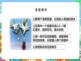 粵教粵科版（2017）科學(xué)五年級(jí)上冊(cè)1.4《水分在莖里的運(yùn)輸》課件+教案