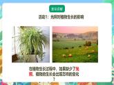 粤教粤科版（2017）科学五年级上册1.6《植物需要阳光》课件+教案