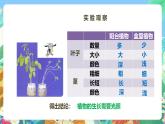 粤教粤科版（2017）科学五年级上册1.6《植物需要阳光》课件+教案