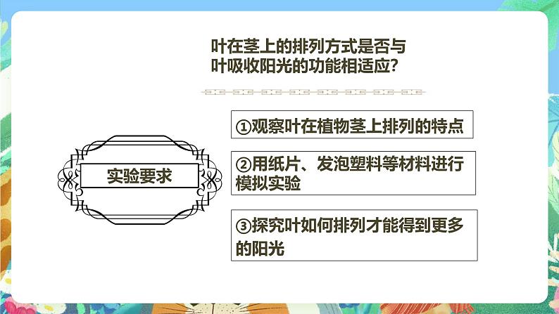 粤教粤科版（2017）科学五年级上册1.6《植物需要阳光》课件+教案08